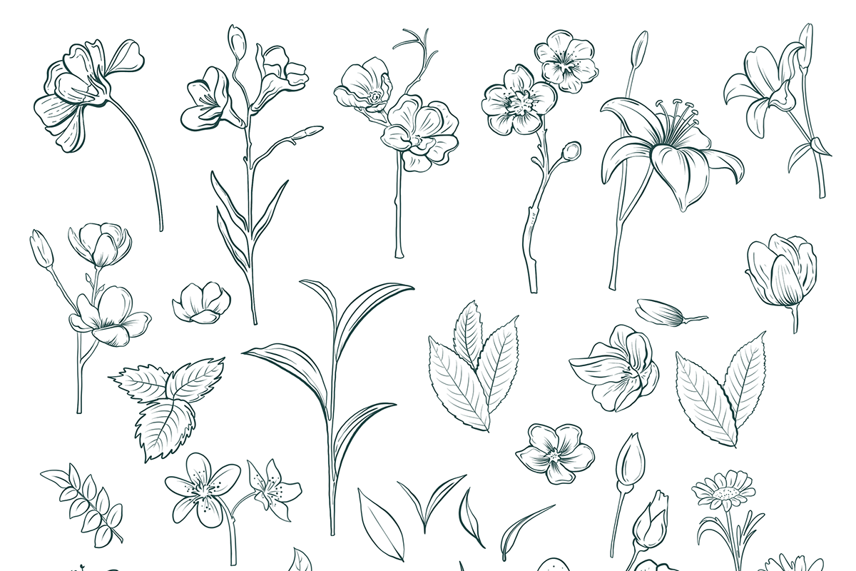 Line Art Flowers Clipart Floral Set, an Object Graphic by KlymchukArtworks (Photo 8 of 8)