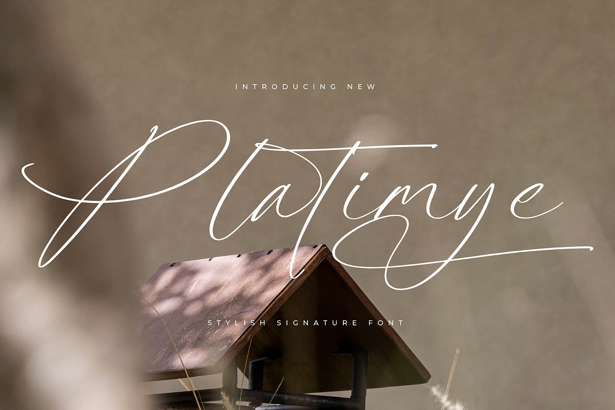 Platimye Stylish Signature Font, a Script Font by Letterena Studios Script (Photo 1 of 15)