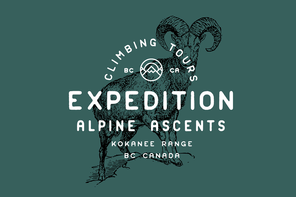 Woodcrafter Sans - 4 Font Family preview 3