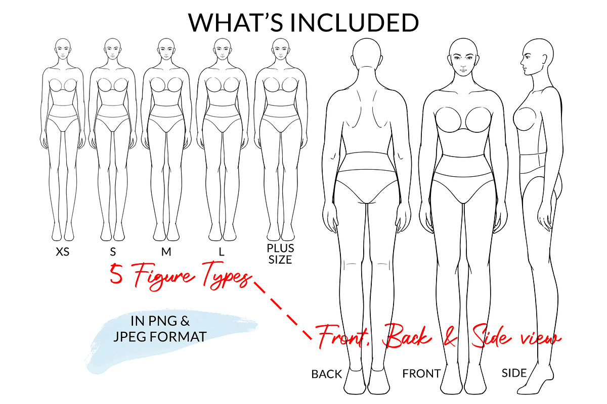 Female Figures incl. Plus Size, an Illustration by Art by Lin (Photo 2 of 3)