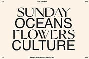 Champagne Cartel, a Serif Font by Tropical Type (Thumbnail 3 of 18)