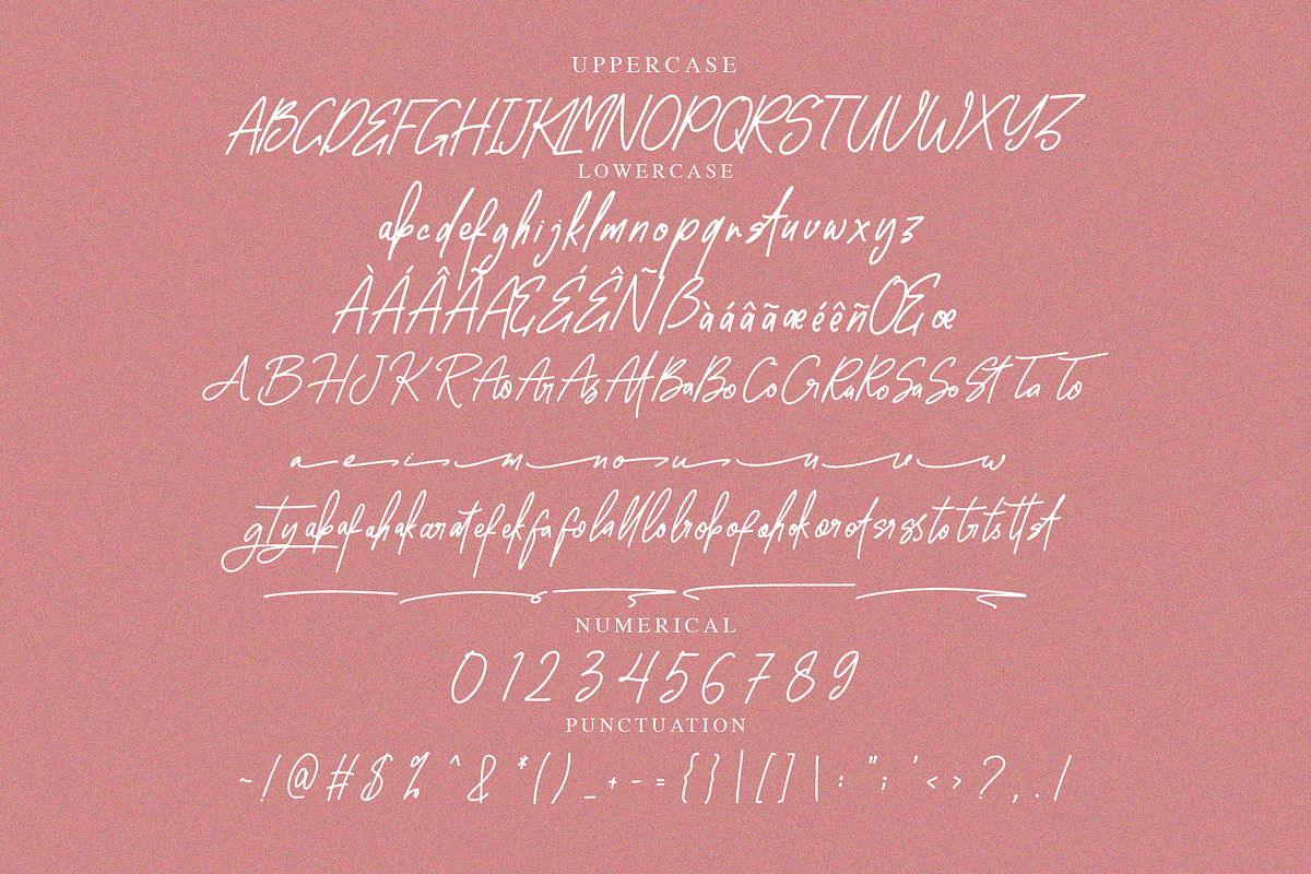 Mettaglomie Handwritten Font, a Script Font by NTC Graphic (Photo 7 of 8)