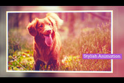 Happy Slideshow, a Templates & Theme by Motion Imperia (Thumbnail 2 of 4)