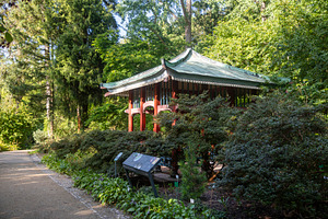 Berlin, Germany, 10 September 2026, Botanical garden, Asian styl, a Nature Photo by Imaginarium