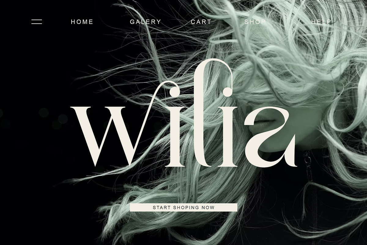 vindea Ligature Serif Typeface, a Serif Font by Humaira_std (Photo 6 of 11)