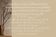 Boldful Starlight, a Handwritten Font by operatype.co (Thumbnail 14 of 15)