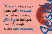 CS Rafles – Script Font, a Script Font by Craft Supply Co. (Thumbnail 2 of 8)