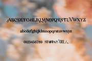 Lopman - Elegant Display Font, a Serif Font by Grappict.com (Thumbnail 3 of 7)