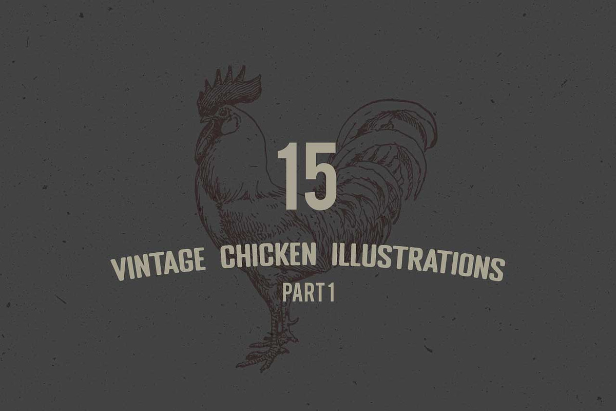Vintage Chicken Illustrations Vector, an Animal Illustration by Seaquint (Photo 1 of 3)