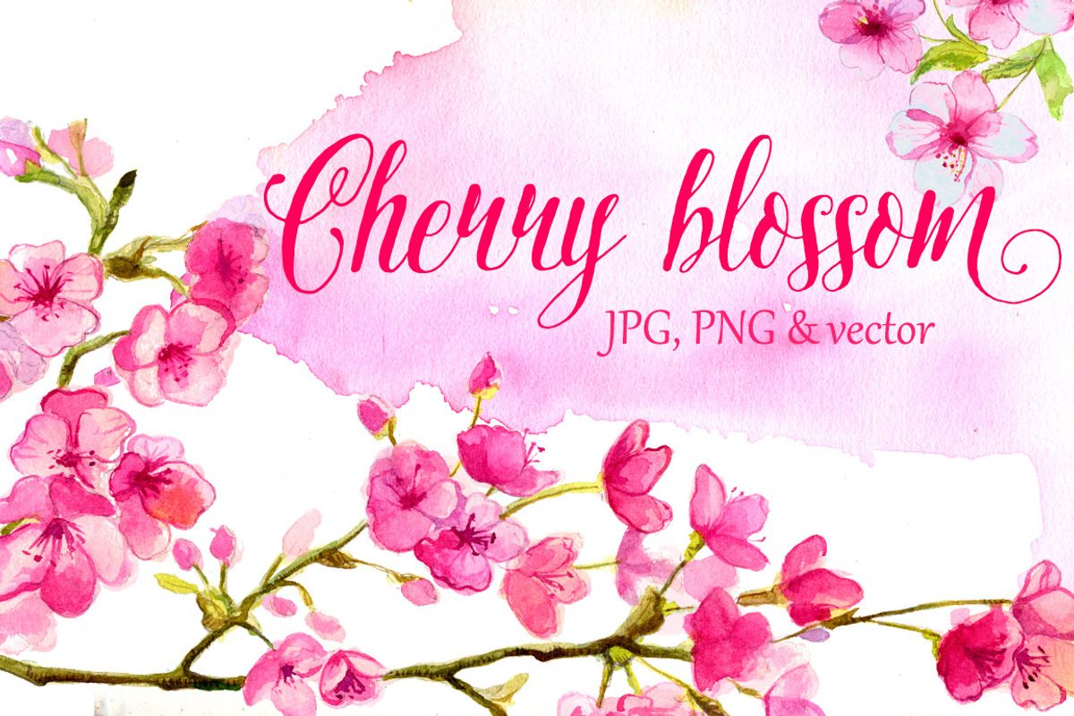 Cherry blossom watercolor art, an Illustration by Anna's Creative Store (Photo 1 of 3)