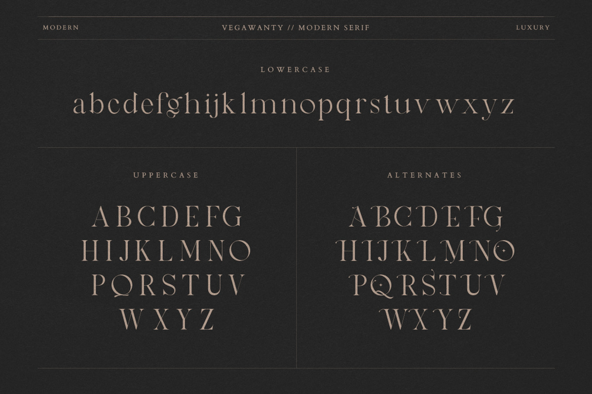 Vegawanty Modern Serif, a Serif Font by Creatype Studio (Photo 9 of 9)