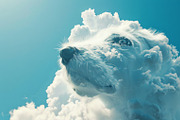 90 Clouds animals against a blue sky, an Animal Illustration by Handmadefont (Thumbnail 55 of 64)