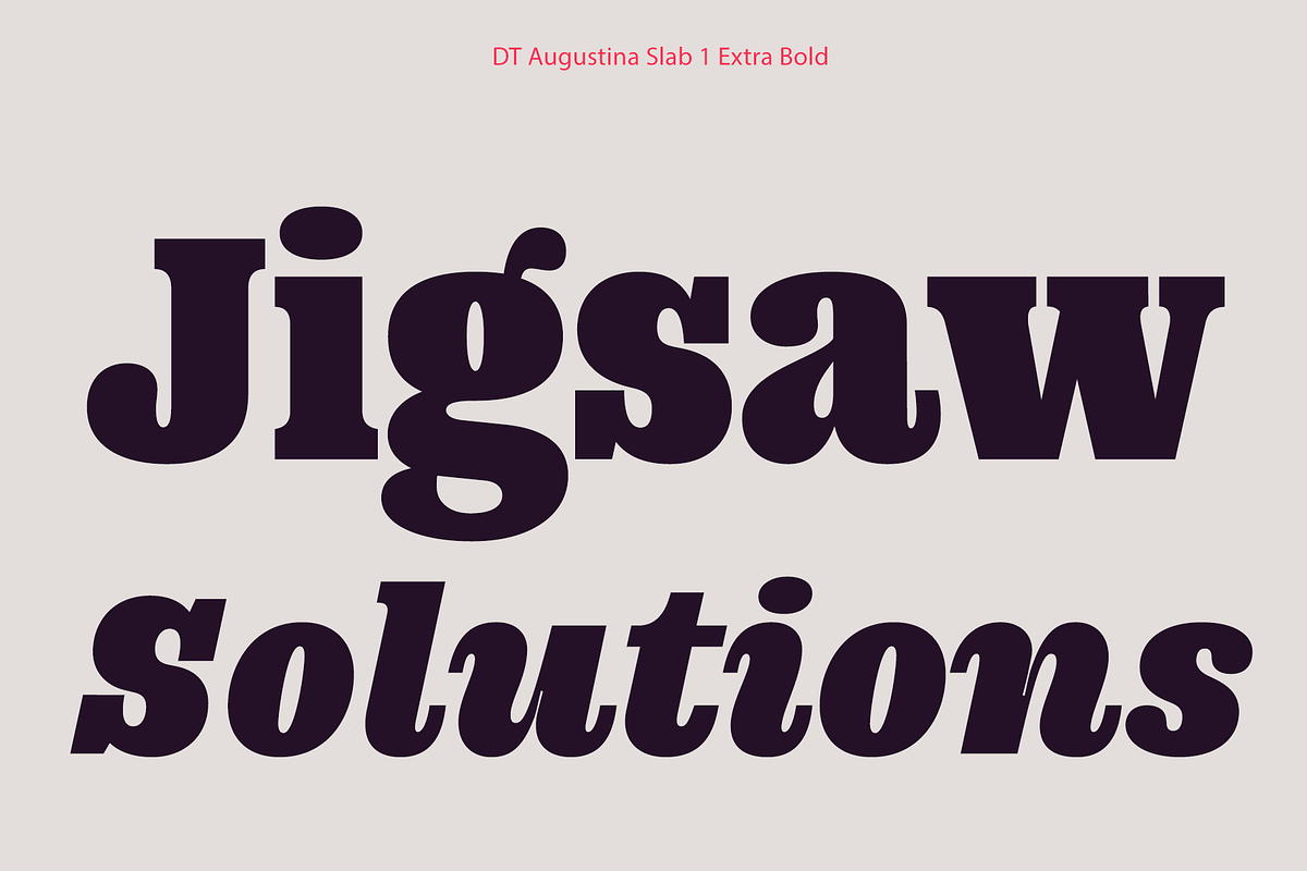 DT Augustina Slab 1 Subfamily, a Slab Serif Font by Deveze Type Foundry (Photo 15 of 31)
