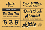 Ruth Script Font Family, a Script Font by Calderón (Thumbnail 6 of 11)