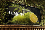 Citrus Art - 25 images, a Food Illustration by Handmadefont (Thumbnail 10 of 10)