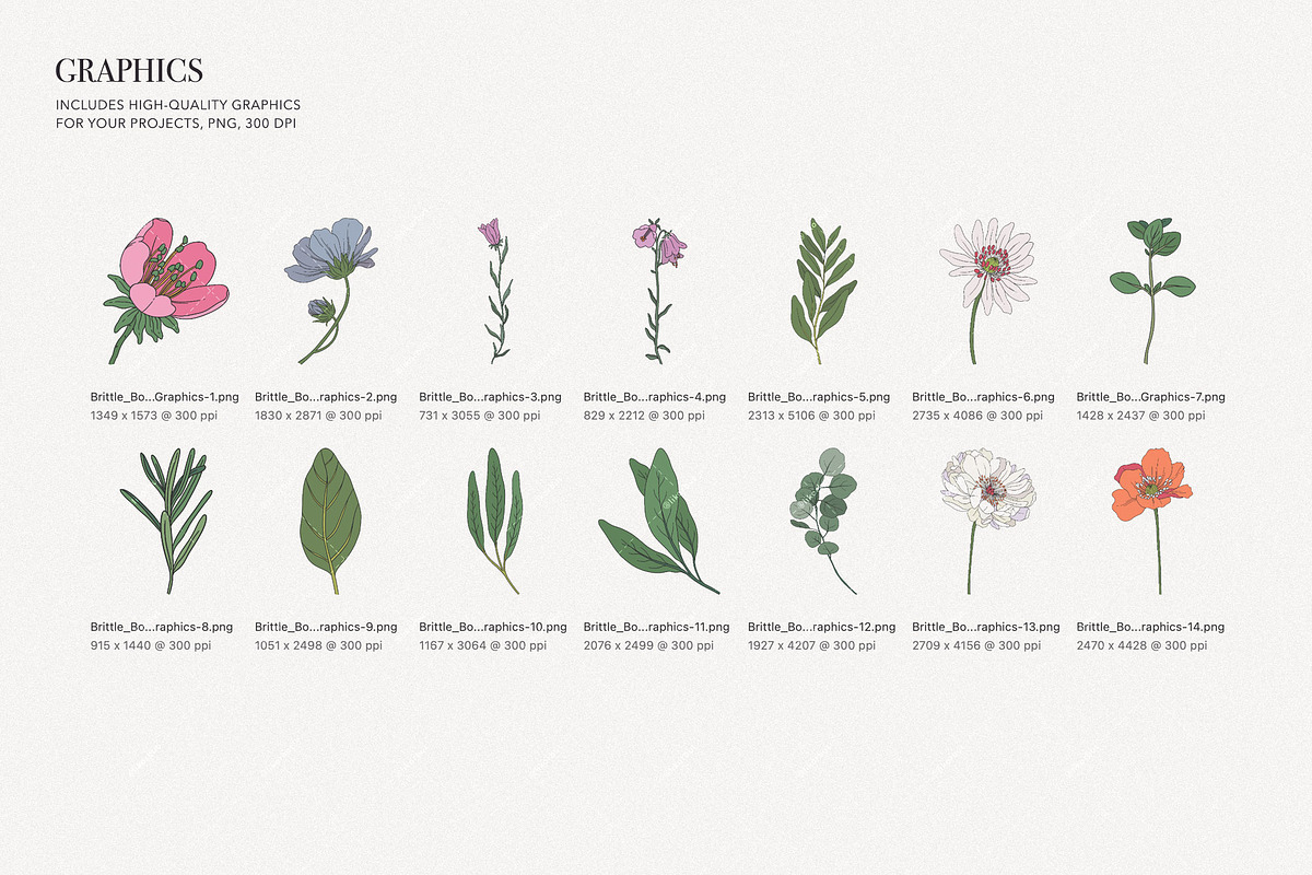 Elegant Floral Patterns: Botanical, a Pattern Graphic by likorbut (Photo 7 of 21)