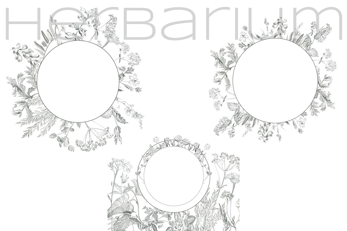 Herbarium. Pencil sketches, a Decorative Illustration by Love Watercolor Store (Photo 5 of 8)