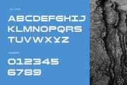 Auston Display, a Sans Serif Font by Foxtype (Thumbnail 3 of 7)
