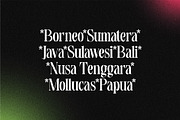Plantround, a Serif Font by Pustudio (Thumbnail 4 of 9)