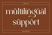 Elegant Serif - Rastica, a Serif Font by Font Liner (Thumbnail 9 of 12)