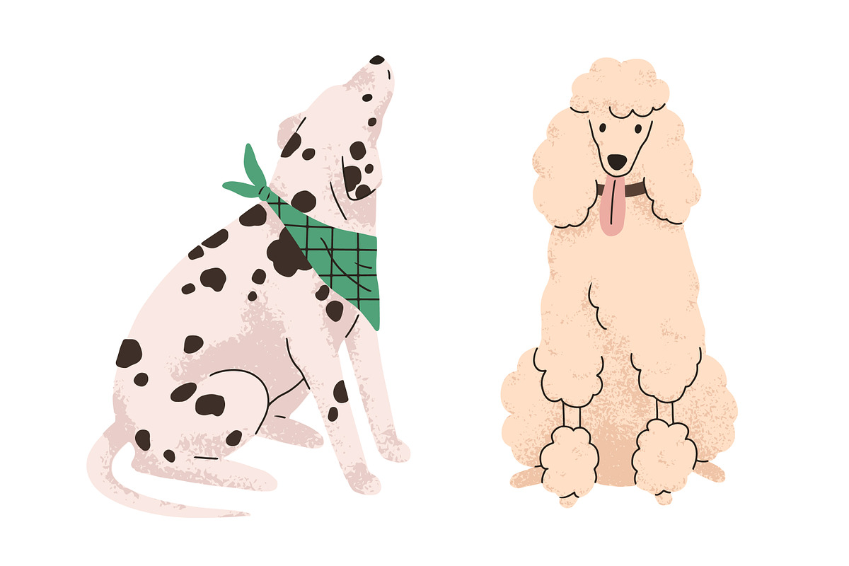 Cute dogs of different breeds set, an Animal Illustration by Good Studio (Photo 3 of 7)
