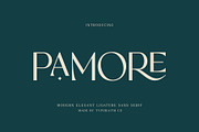 Pamore | Elegant Ligature Sans Serif, a Sans Serif Font by Typoraith Co (Thumbnail 4 of 13)