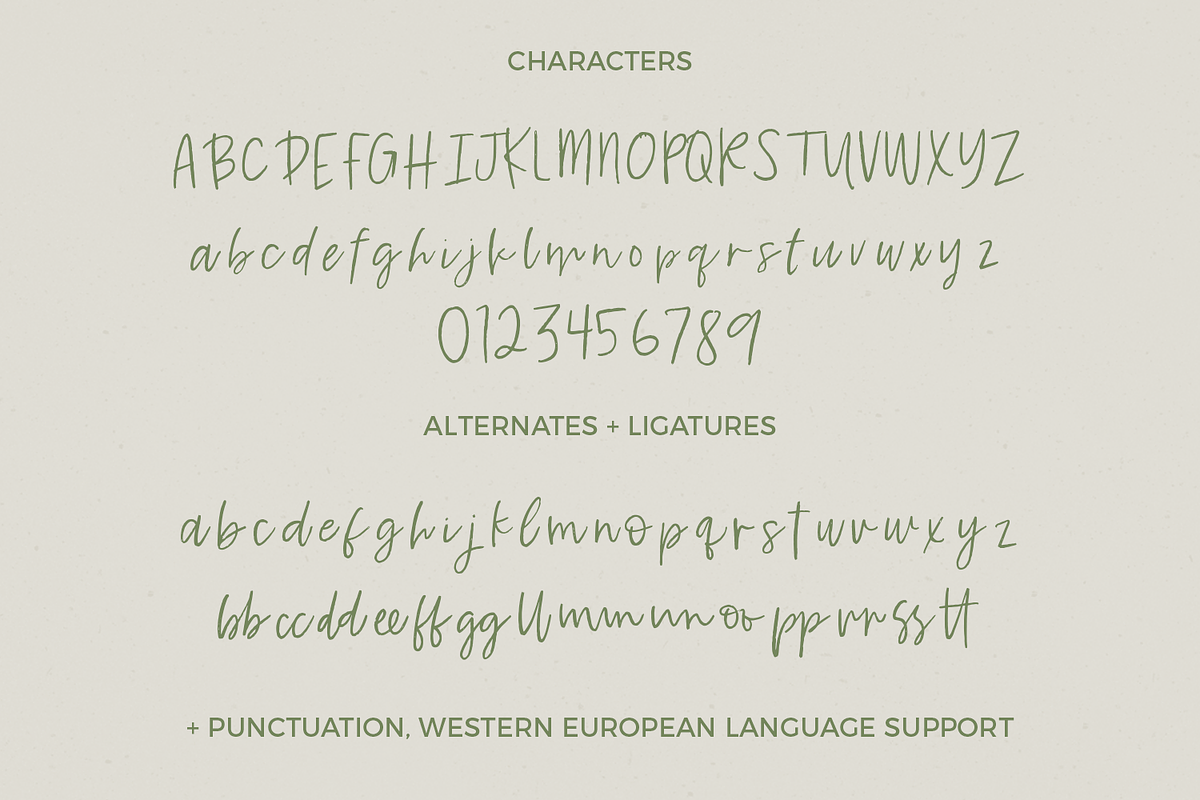 Key Largo Script, a Script Font by Beck McCormick (Photo 10 of 10)