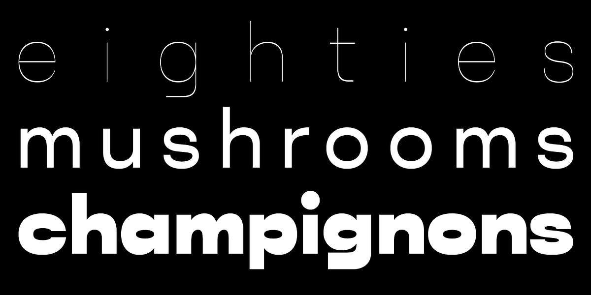 WT Null, a Sans Serif Font by Wraith Types (Photo 5 of 7)