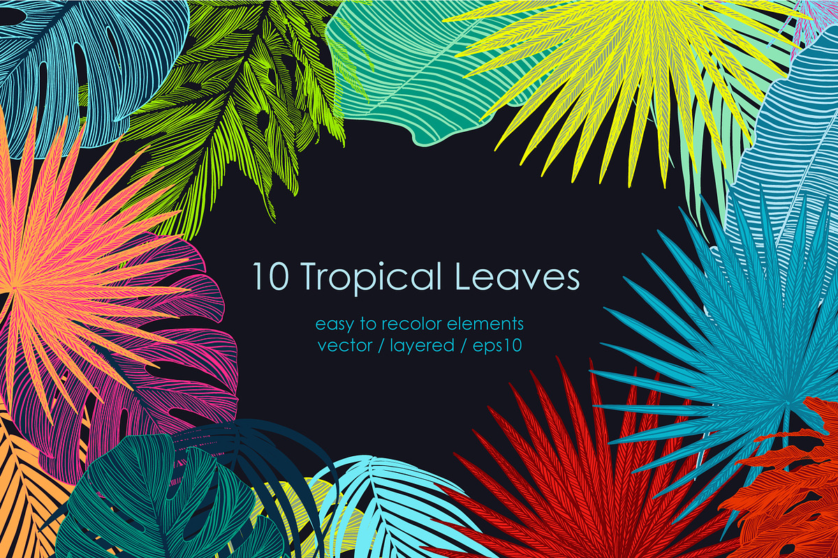 Wild Tropical Patterns, a Pattern Graphic by ANAKOTO (Photo 8 of 14)