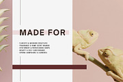 Soft Pastel Stock Photos Bundle 280, a Nature Photo by Tale.Haus (Thumbnail 7 of 19)