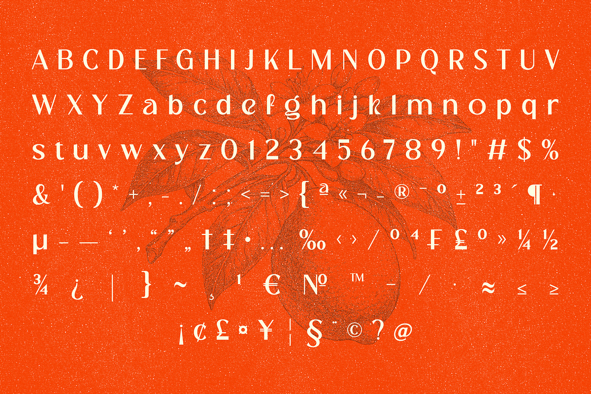 Cranio - Sans Serif Display Font, a Sans Serif Font by Afkari Studio (Photo 5 of 12)