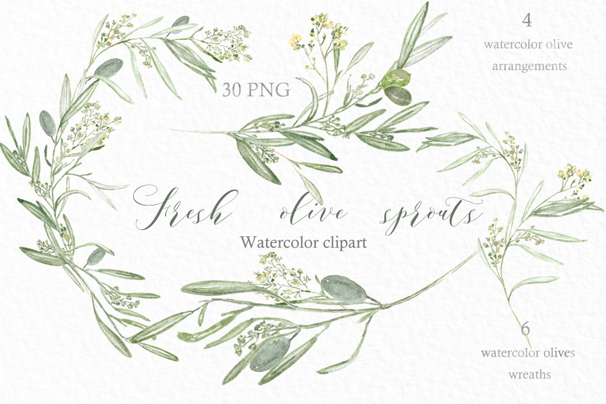 Olive Branch Wreaths clipart, an Illustration by LABFcreations (Photo 5 of 5)