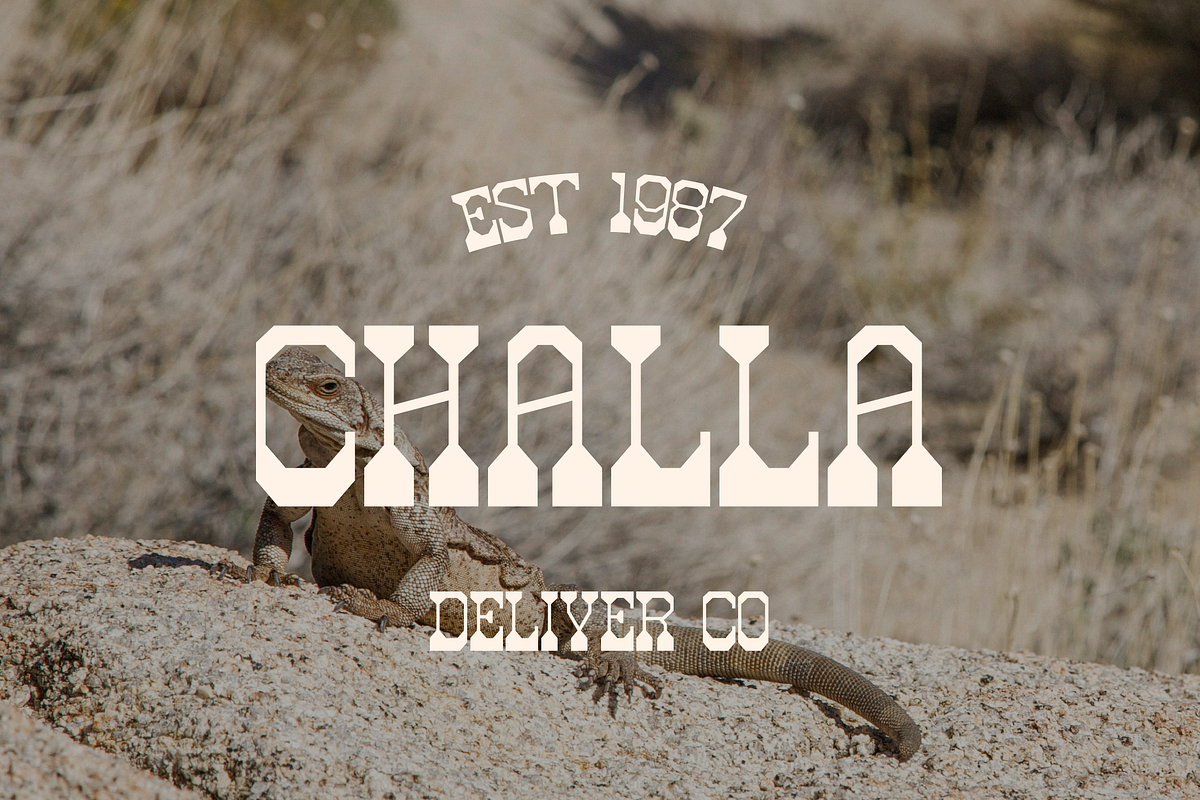 The Gasone | Western Slab Serif, a Slab Serif Font by Denustudios (Photo 7 of 15)