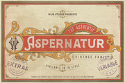Aspernatur Vintage Family, a Serif Font by wubstudio (Thumbnail 1 of 13)