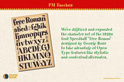 PM Bacchus Bouncy Retro Serif, a Serif Font by Paper Moon Graphic Supply (Thumbnail 2 of 9)