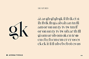 Elegant Ligature Serif Font, a Serif Font by Bekeen.co (Thumbnail 9 of 10)