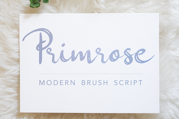 Primrose Modern Brush Script preview 6
