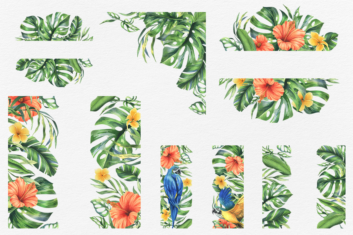 Parrots & tropical leaves watercolor, an Animal Illustration by NATASHA CHU (Photo 11 of 21)