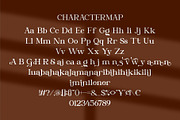 Bevora || Modern Serif Font, a Serif Font by Ermedia Studio (Thumbnail 10 of 10)