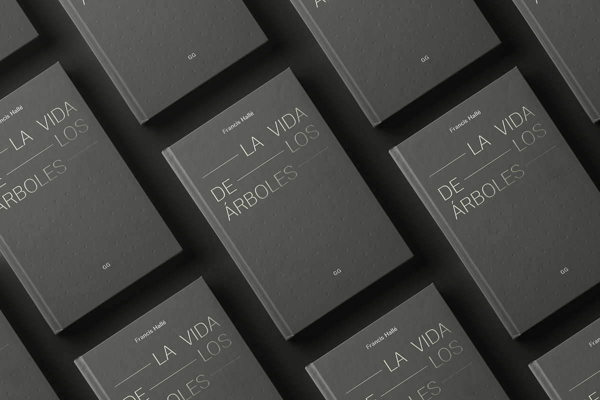 Eirene Sans - Type family, a Sans Serif Font by Tomas Castiglioni (Photo 20 of 20)