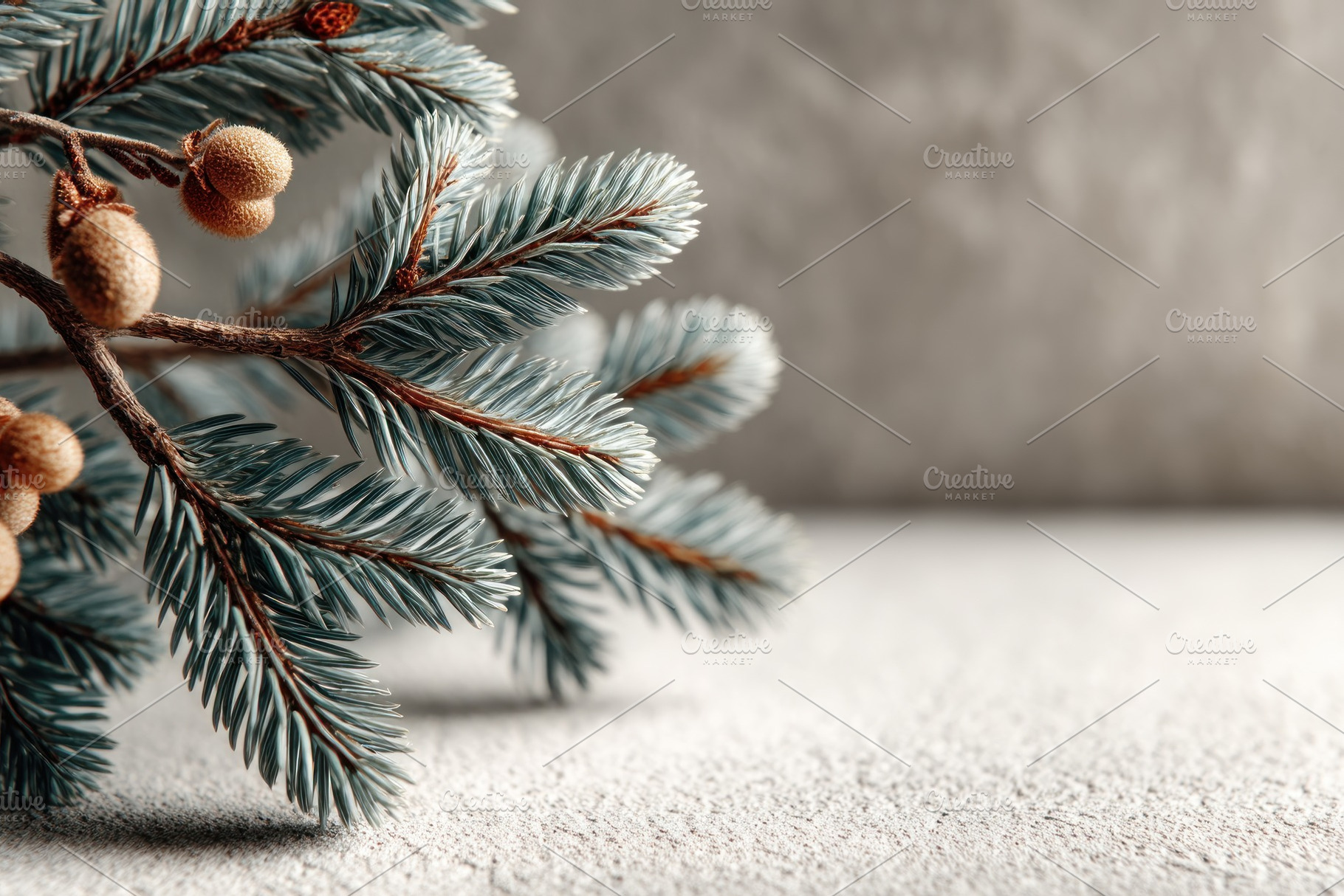 Blue spruce branch with natural pine cones on textured neutral b, a Holiday Photo by José Manuel Gelpi