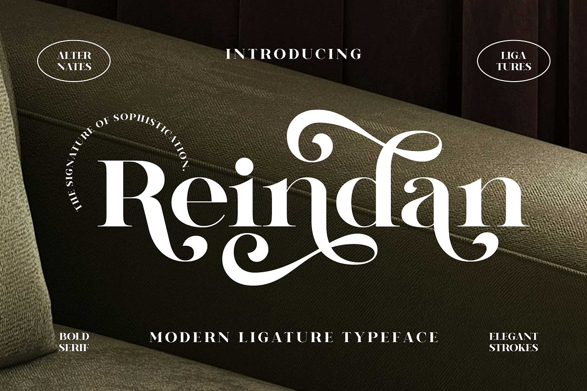 Reindan - Beautiful Bold Serif, a Font by Novitype (Photo 1 of 14)