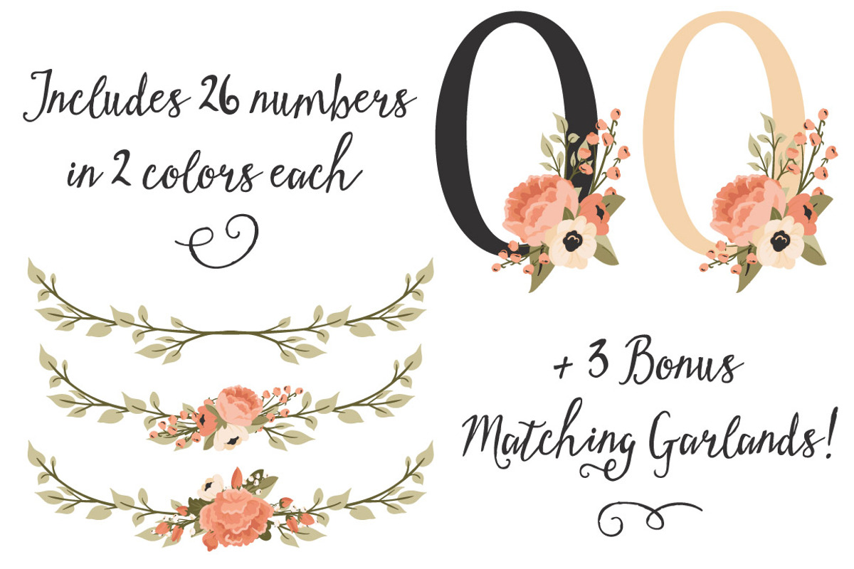 Peach Floral Numbers With Vectors, an Illustration by Amanda Ilkov (Photo 3 of 5)
