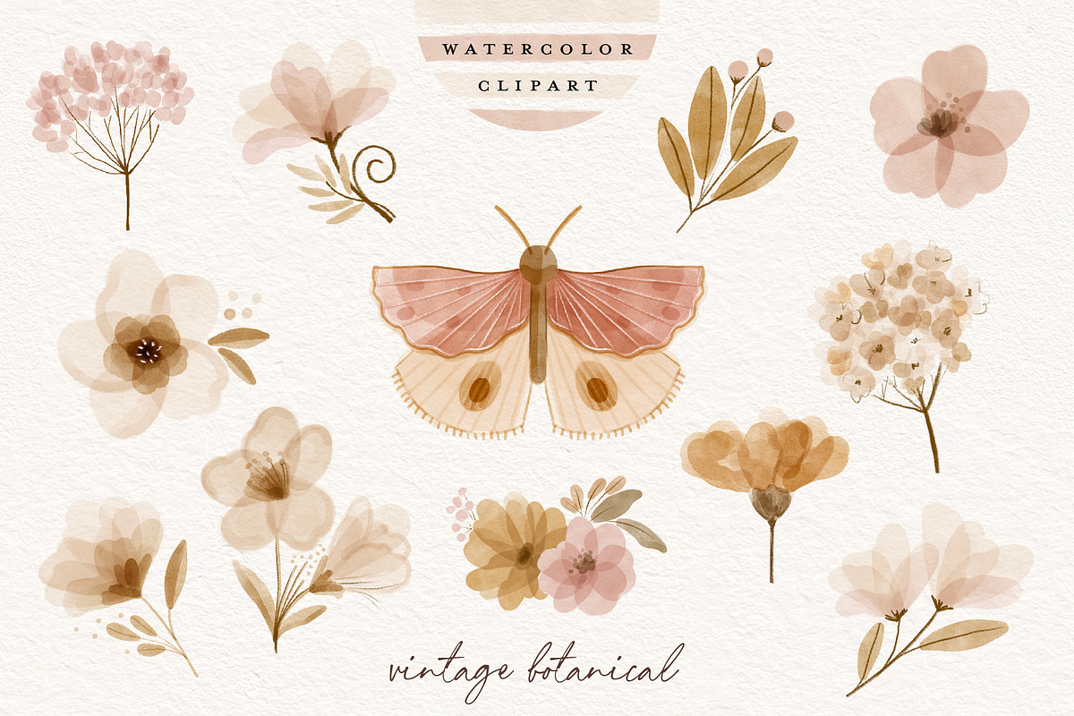 Watercolor Vintage Botanical Clipart, an Illustration by beatriceviyiwi (Photo 5 of 6)