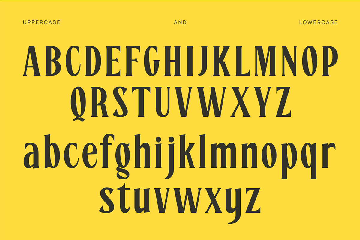 CHEVILE - Bold Elegant Display Font, a Serif Font by Pekotype (Photo 3 of 13)