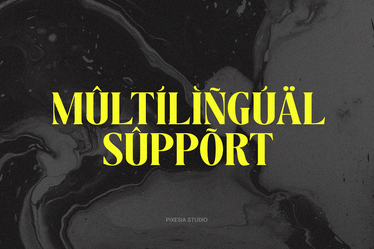 Insigma - Modern Decorative Serif, a Serif Font by Pixesia Studio (Photo 17 of 17)