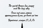 Beerlogoff. Latin and Cyrillic Font., a Script Font by DenBrush Studio (Thumbnail 4 of 7)