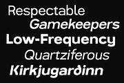 Magnolia Sans Geometric Font Family, a Sans Serif Font by Magnolitype (Thumbnail 5 of 6)