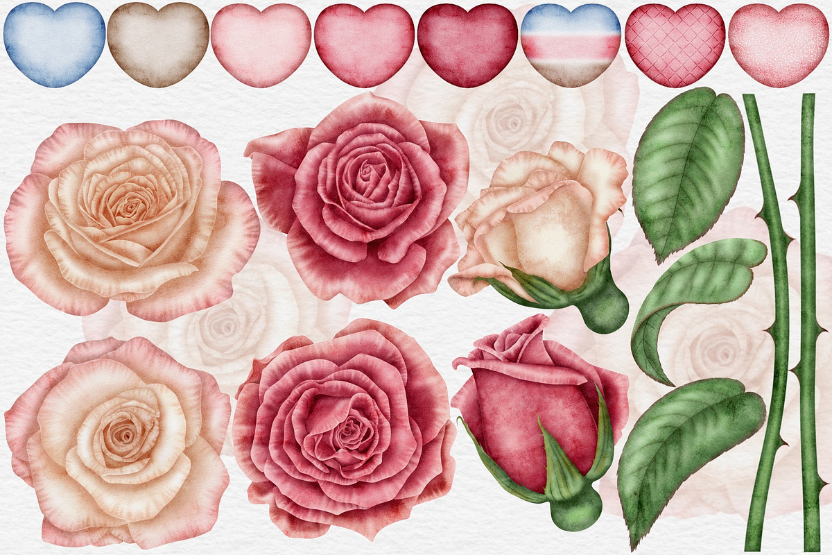 Valentines Roses watercolor clipart., a Seasonal Illustration by Happy Sloth Graphics (Photo 2 of 12)