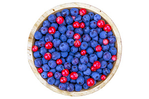 Bowl of wild berries isolated, a Food & Drink Photo by BOOCYS